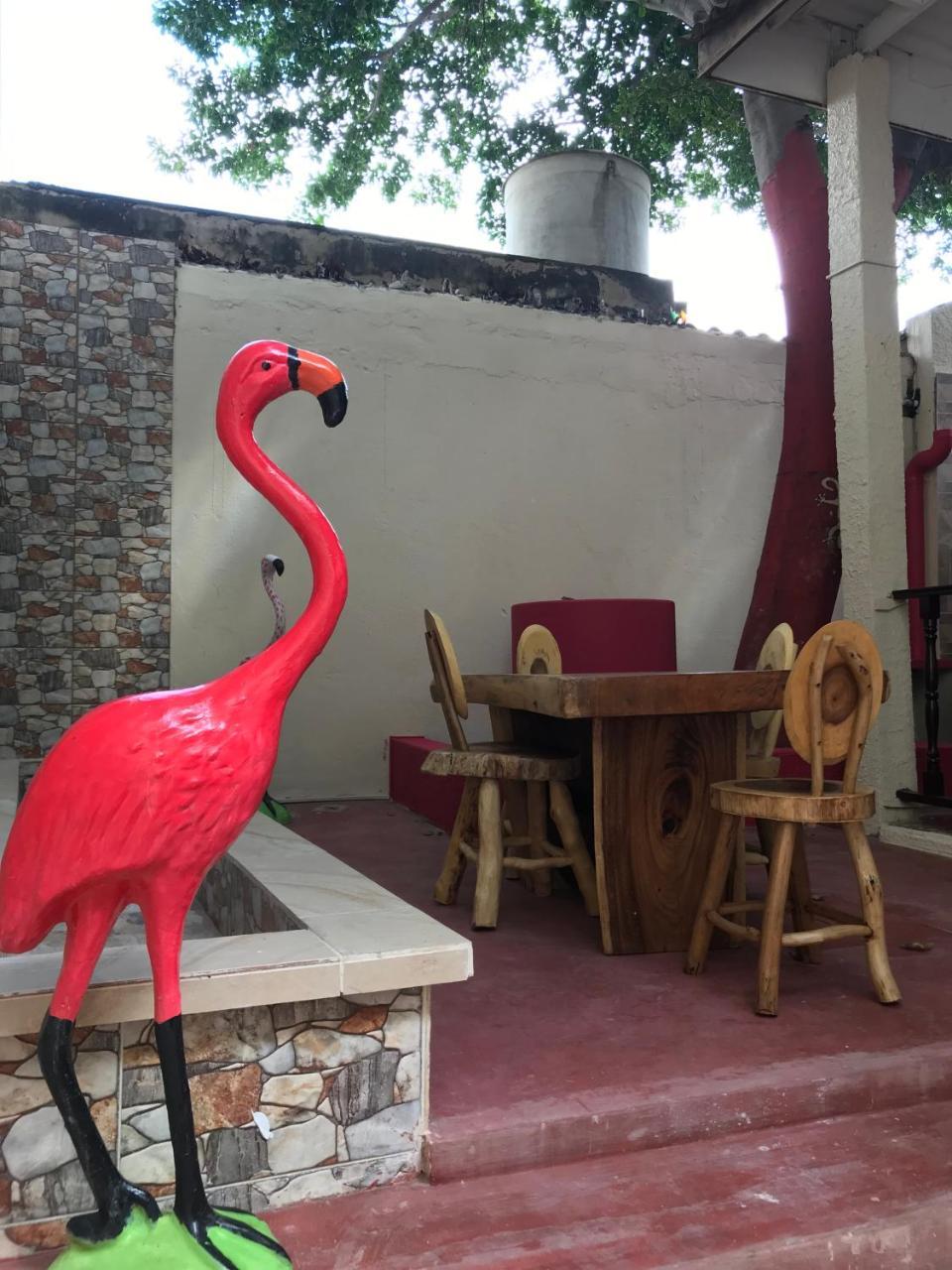 Mi Casa Hostel Ríohacha 외부 사진